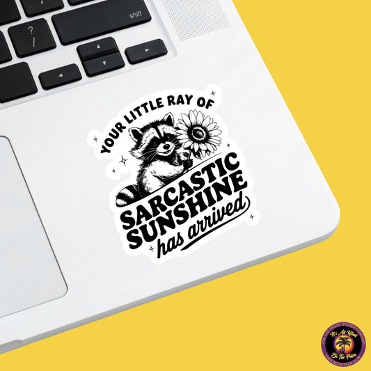 RACCOON STICKER | funny sticker, laptop sticker, stickers, stickers for hydro, vinyl stickers, meme sticker, water bottle sticker