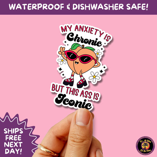 MENTAL HEALTH STICKER | funny sticker, laptop sticker, anxiety, stickers for hydro, vinyl stickers, meme sticker, water bottle sticker
