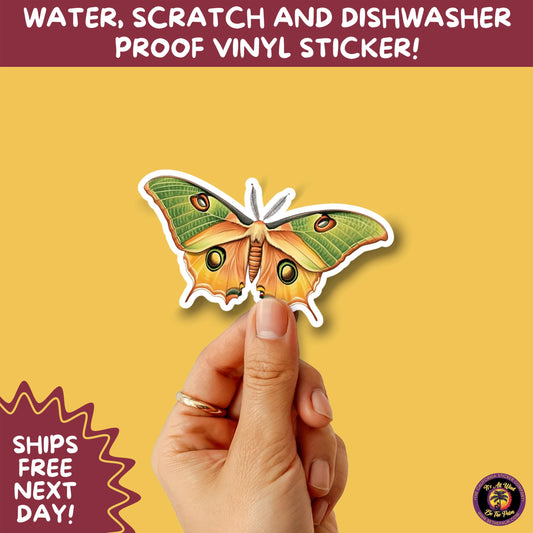 LUNA MOTH STICKERS | moth, sticker, luna moth, moon moth, cottage core, halloween, goth moth, large moth, insect sticker, laptop sticker,