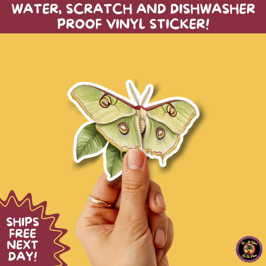 LUNA MOTH STICKERS | moth, sticker, luna moth, moon moth, cottage core, halloween, goth moth, large moth, insect sticker, laptop sticker,