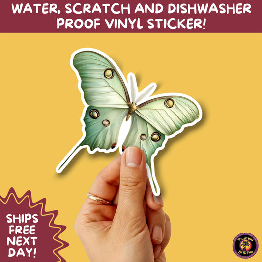 LUNA MOTH STICKERS | moth, sticker, luna moth, moon moth, cottage core, halloween, goth moth, large moth, insect sticker, laptop sticker,