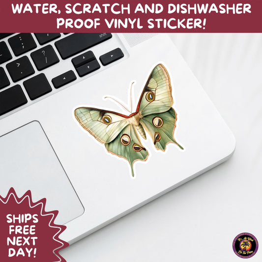 LUNA MOTH STICKERS | moth, sticker, luna moth, moon moth, cottage core, halloween, goth moth, large moth, insect sticker, laptop sticker,