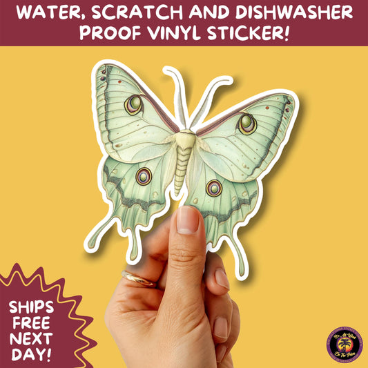 LUNA MOTH STICKERS | moth, sticker, luna moth, moon moth, cottage core, halloween, goth moth, large moth, insect sticker, laptop sticker,