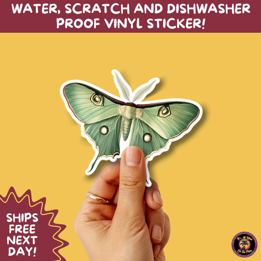 LUNA MOTH STICKERS | moth, sticker, luna moth, moon moth, cottage core, halloween, goth moth, large moth, insect sticker, laptop sticker,