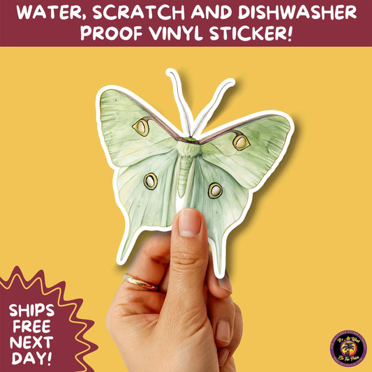 LUNA MOTH STICKERS | moth, sticker, luna moth, moon moth, cottage core, halloween, goth moth, large moth, insect sticker, laptop sticker,