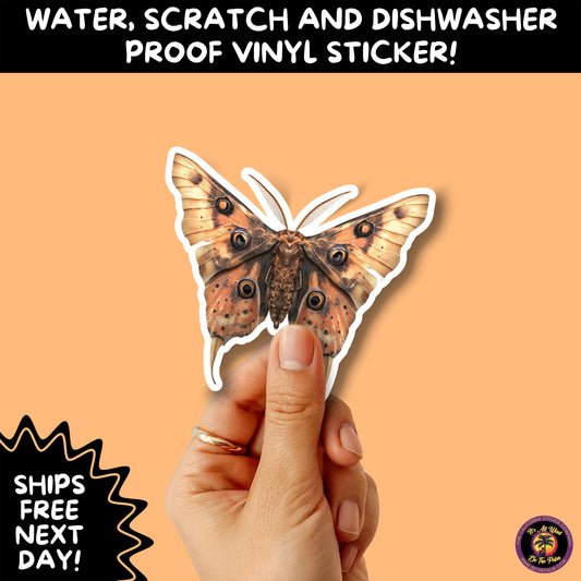 GOTH MOTH STICKERS | Gothic Insect Vinyl Stickers, Dark Aesthetic Stickers for Laptops Journals, Spooky Bug Stickers, Moth Witchy Decor