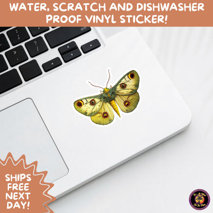 GOTH MOTH STICKERS | Gothic Insect Vinyl Stickers, Dark Aesthetic Stickers for Laptops Journals, Spooky Bug Stickers, Moth Witchy Decor