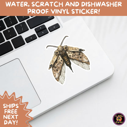 GOTH MOTH STICKERS | Gothic Insect Vinyl Stickers, Dark Aesthetic Stickers for Laptops Journals, Spooky Bug Stickers, Moth Witchy Decor