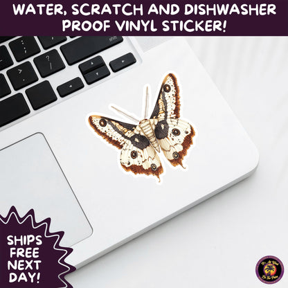 GOTH MOTH STICKERS | Gothic Insect Vinyl Stickers, Dark Aesthetic Stickers for Laptops Journals, Spooky Bug Stickers, Moth Witchy Decor