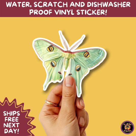 LUNA MOTH STICKERS | moth, sticker, luna moth, moon moth, cottage core, halloween, goth moth, large moth, insect sticker, laptop sticker,