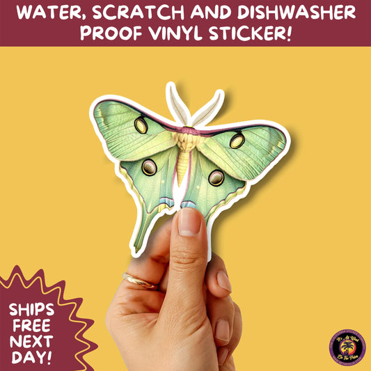 LUNA MOTH STICKERS | moth, sticker, luna moth, moon moth, cottage core, halloween, goth moth, large moth, insect sticker, laptop sticker,