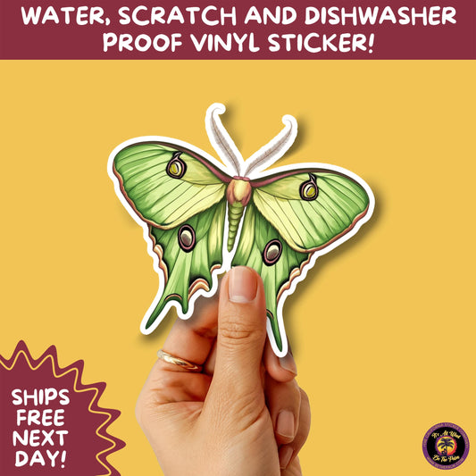 LUNA MOTH STICKERS | moth, sticker, luna moth, moon moth, cottage core, halloween, goth moth, large moth, insect sticker, laptop sticker,