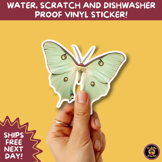 LUNA MOTH STICKERS | moth, sticker, luna moth, moon moth, cottage core, halloween, goth moth, large moth, insect sticker, laptop sticker,