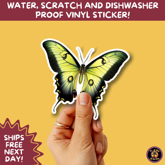 LUNA MOTH STICKERS | moth, sticker, luna moth, moon moth, cottage core, halloween, goth moth, large moth, insect sticker, laptop sticker,
