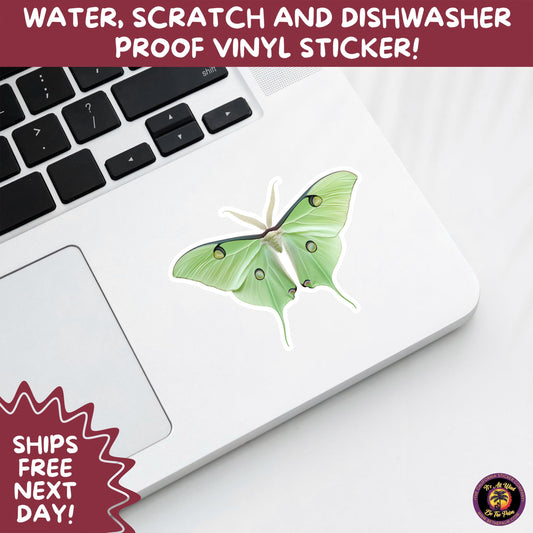 LUNA MOTH STICKERS | moth, sticker, luna moth, moon moth, cottage core, halloween, goth moth, large moth, insect sticker, laptop sticker,