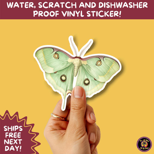 LUNA MOTH STICKERS | moth, sticker, luna moth, moon moth, cottage core, halloween, goth moth, large moth, insect sticker, laptop sticker,