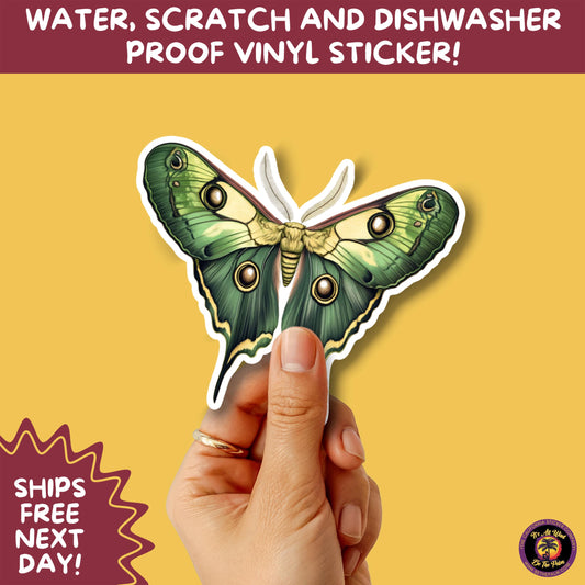 LUNA MOTH STICKERS | moth, sticker, luna moth, moon moth, cottage core, halloween, goth moth, large moth, insect sticker, laptop sticker,