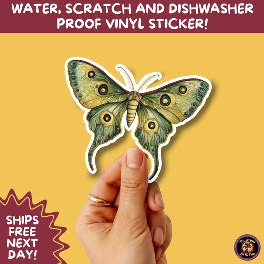 LUNA MOTH STICKERS | moth, sticker, luna moth, moon moth, cottage core, halloween, goth moth, large moth, insect sticker, laptop sticker,