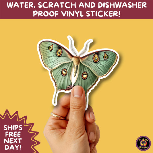 LUNA MOTH STICKERS | moth, sticker, luna moth, moon moth, cottage core, halloween, goth moth, large moth, insect sticker, laptop sticker,