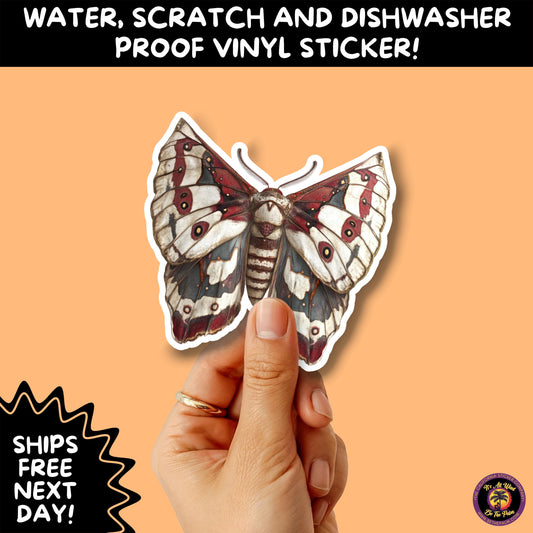 GOTH MOTH STICKERS | Gothic Insect Vinyl Stickers, Dark Aesthetic Stickers for Laptops Journals, Spooky Bug Stickers, Moth Witchy Decor