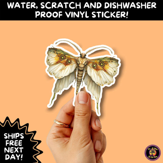 GOTH MOTH STICKERS | Gothic Insect Vinyl Stickers, Dark Aesthetic Stickers for Laptops Journals, Spooky Bug Stickers, Moth Witchy Decor