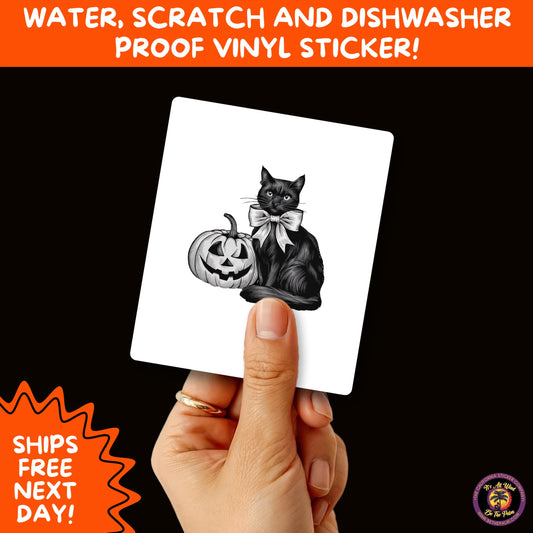 HALLOWEEN VINYL STICKERS | Spooky Ghosts, Witches, Pumpkins, Skulls and Bats – Waterproof Halloween Sticker Pack for All Ages