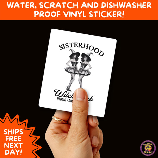 HALLOWEEN VINYL STICKERS | Spooky Ghosts, Witches, Pumpkins, Skulls and Bats – Waterproof Halloween Sticker Pack for All Ages
