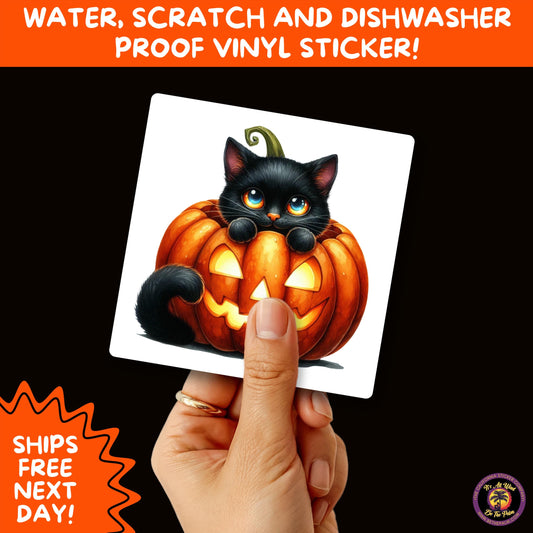 HALLOWEEN VINYL STICKERS | Spooky Ghosts, Witches, Pumpkins, Skulls and Bats – Waterproof Halloween Sticker Pack for All Ages