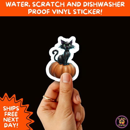 HALLOWEEN VINYL STICKERS | Spooky Ghosts, Witches, Pumpkins, Skulls and Bats – Waterproof Halloween Sticker Pack for All Ages