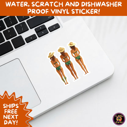 FUN BEACH STICKERS with Bikini Designs, Perfect for Travel Journals, Water Bottles, Tumblers, Laptops, Scrapbooks, and Summer Decor