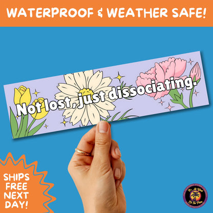 BUMPER STICKER | Funny Vinyl Decals for Cars Trucks Laptops Durable Waterproof Outdoor Sticker Gift for Drivers and Road Trips