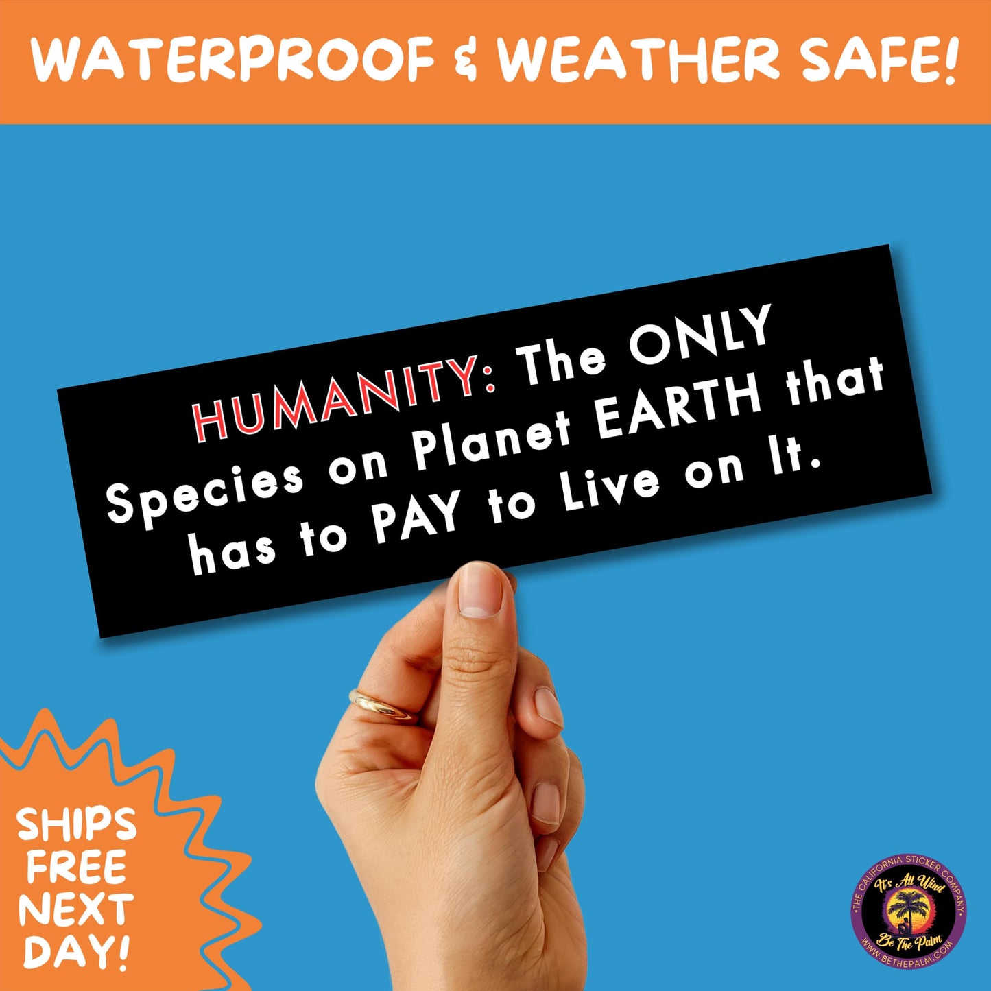 BUMPER STICKER | Funny Vinyl Decals for Cars Trucks Laptops Durable Waterproof Outdoor Sticker Gift for Drivers and Road Trips