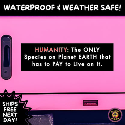 BUMPER STICKER | Funny Vinyl Decals for Cars Trucks Laptops Durable Waterproof Outdoor Sticker Gift for Drivers and Road Trips