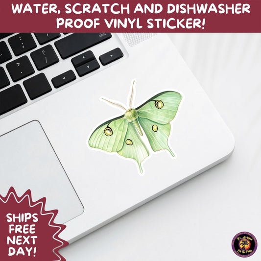 LUNA MOTH STICKERS | moth, sticker, luna moth, moon moth, cottage core, large moth, insect sticker, laptop sticker,