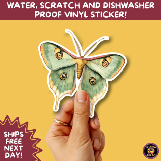 LUNA MOTH STICKERS | moth, sticker, luna moth, moon moth, cottage core, large moth, insect sticker, laptop sticker,