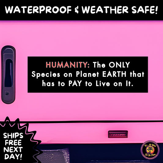 BUMPER STICKER | Funny Vinyl Decals for Cars Trucks Laptops Durable Waterproof Outdoor Sticker Gift for Drivers and Road Trips