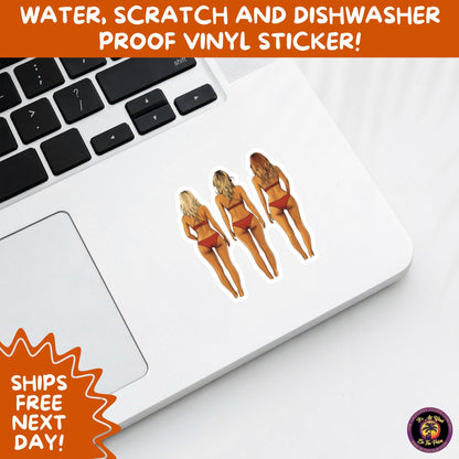 FUN BEACH STICKERS with Bikini Designs, Perfect for Travel Journals, Water Bottles, Tumblers, Laptops, Scrapbooks, and Summer Decor