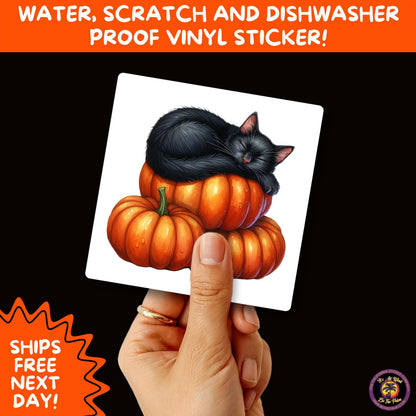 HALLOWEEN VINYL STICKERS | Spooky Ghosts, Witches, Pumpkins, Skulls and Bats – Waterproof Halloween Sticker Pack for All Ages