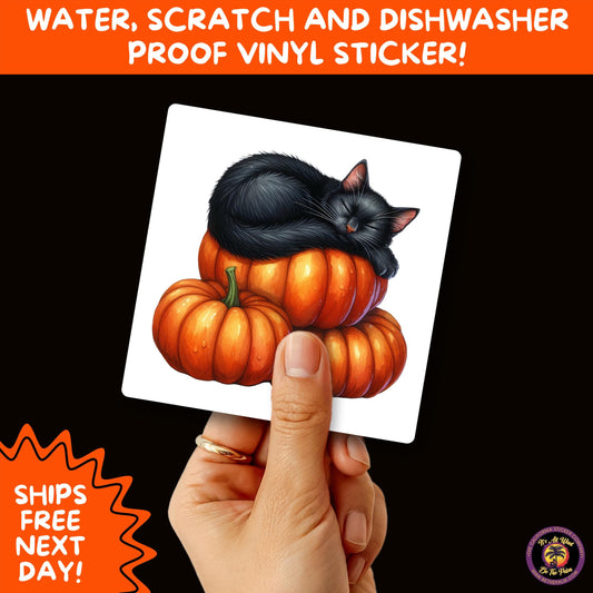 HALLOWEEN VINYL STICKERS | Spooky Ghosts, Witches, Pumpkins, Skulls and Bats – Waterproof Halloween Sticker Pack for All Ages