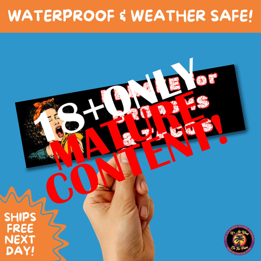 BUMPER STICKER | Funny Vinyl Decals for Cars Trucks Laptops Durable Waterproof Outdoor Sticker Gift for Drivers and Road Trips