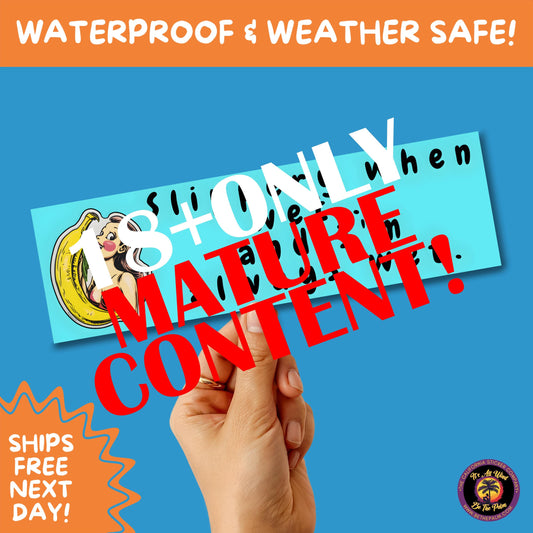 BUMPER STICKER | Funny Vinyl Decals for Cars Trucks Laptops Durable Waterproof Outdoor Sticker Gift for Drivers and Road Trips