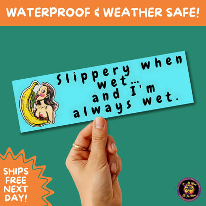 BUMPER STICKER | Funny Vinyl Decals for Cars Trucks Laptops Durable Waterproof Outdoor Sticker Gift for Drivers and Road Trips