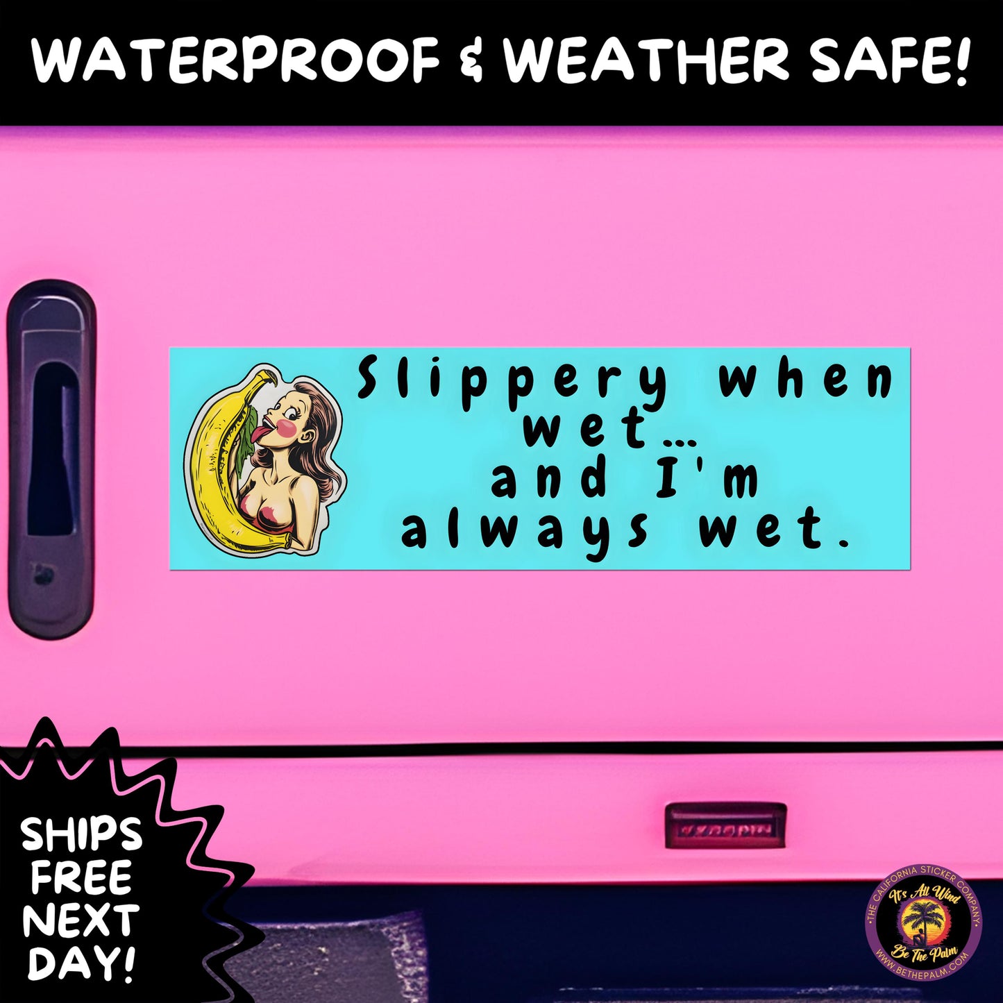 BUMPER STICKER | Funny Vinyl Decals for Cars Trucks Laptops Durable Waterproof Outdoor Sticker Gift for Drivers and Road Trips