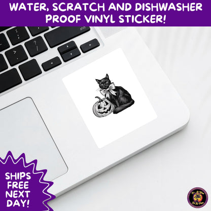 HALLOWEEN VINYL STICKERS | Spooky Ghosts, Witches, Pumpkins, Skulls and Bats – Waterproof Halloween Sticker Pack for All Ages