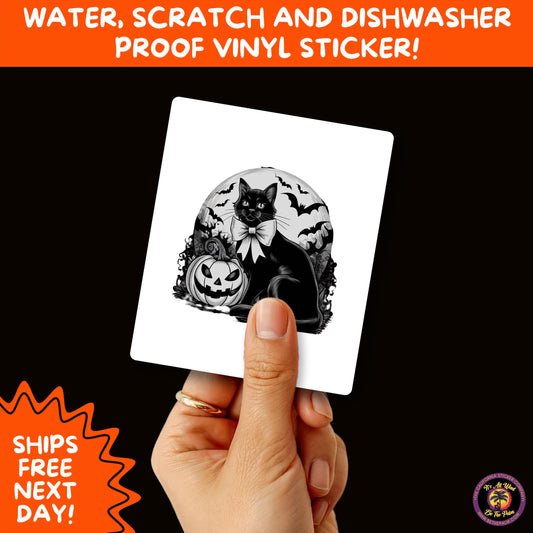HALLOWEEN VINYL STICKERS | Spooky Ghosts, Witches, Pumpkins, Skulls and Bats – Waterproof Halloween Sticker Pack for All Ages