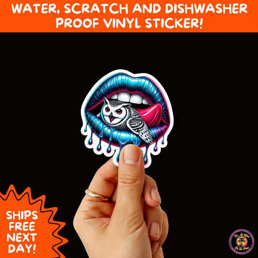 HALLOWEEN VINYL STICKERS | Spooky Ghosts, Witches, Pumpkins, Skulls and Bats – Waterproof Halloween Sticker Pack for All Ages
