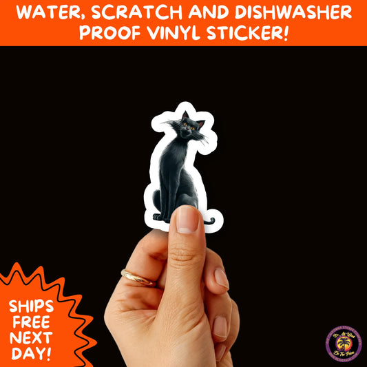 HALLOWEEN VINYL STICKERS | Spooky Ghosts, Witches, Pumpkins, Skulls and Bats – Waterproof Halloween Sticker Pack for All Ages