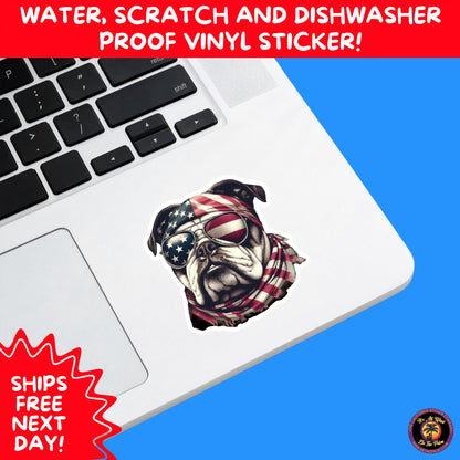 4TH OF JULY | Sticker Pack Independence Day Vinyl Decals, USA Flag, Fireworks, Red White Blue Summer Holiday Patriotic Sticker Set