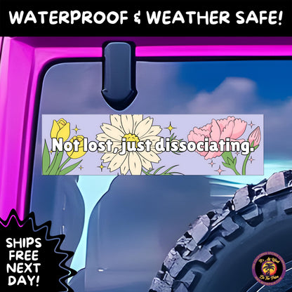 BUMPER STICKER | Funny Vinyl Decals for Cars Trucks Laptops Durable Waterproof Outdoor Sticker Gift for Drivers and Road Trips