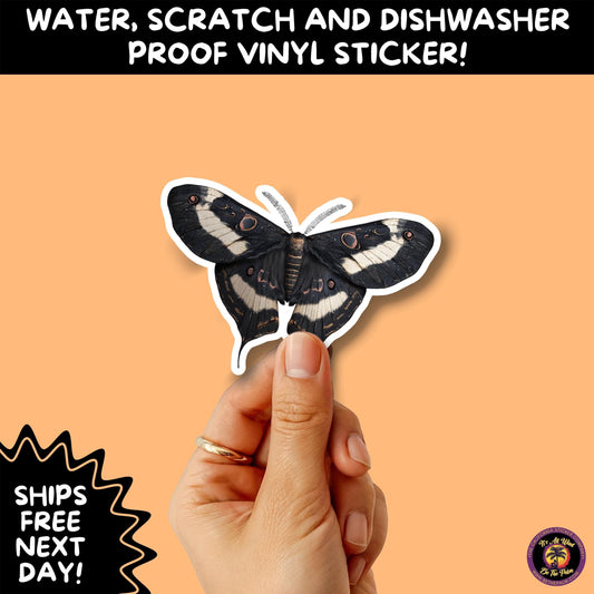 GOTH MOTH STICKERS | Gothic Insect Vinyl Stickers, Dark Aesthetic Stickers for Laptops Journals, Spooky Bug Stickers, Moth Witchy Decor